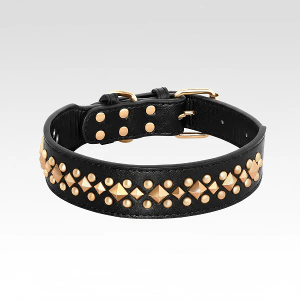 Collier Pour Chien Design Cuir Clouté – Image 2