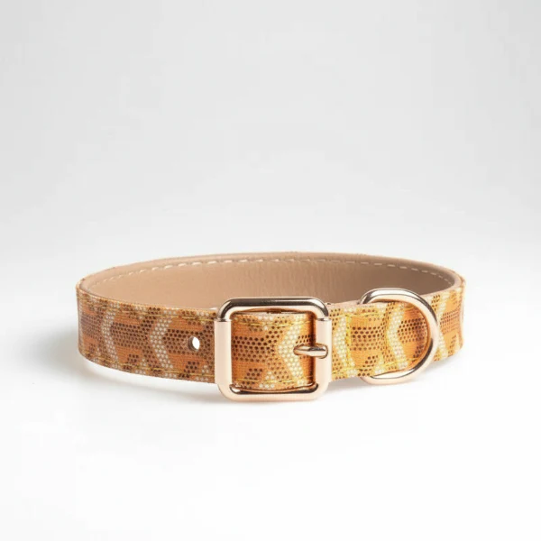 Collier Pour Chien Design Elégant Et Résistant – Image 2