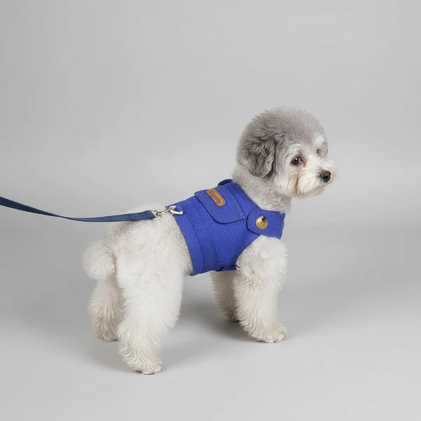 Veste pour Chien Design avec Laisse – Image 3