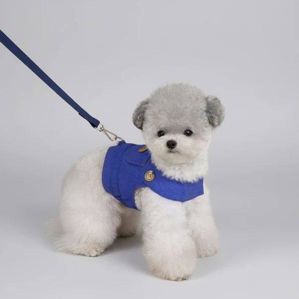 Veste pour Chien Design avec Laisse – Image 2