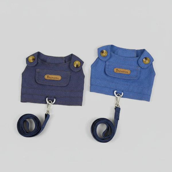 Veste pour Chien Design avec Laisse