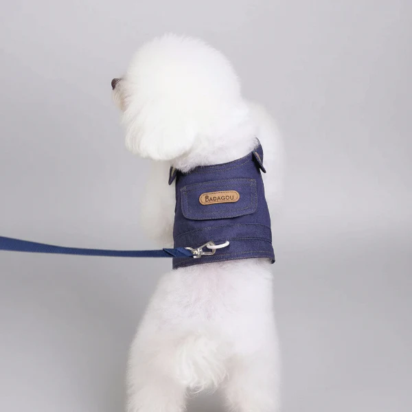 Veste pour Chien Design avec Laisse – Image 4