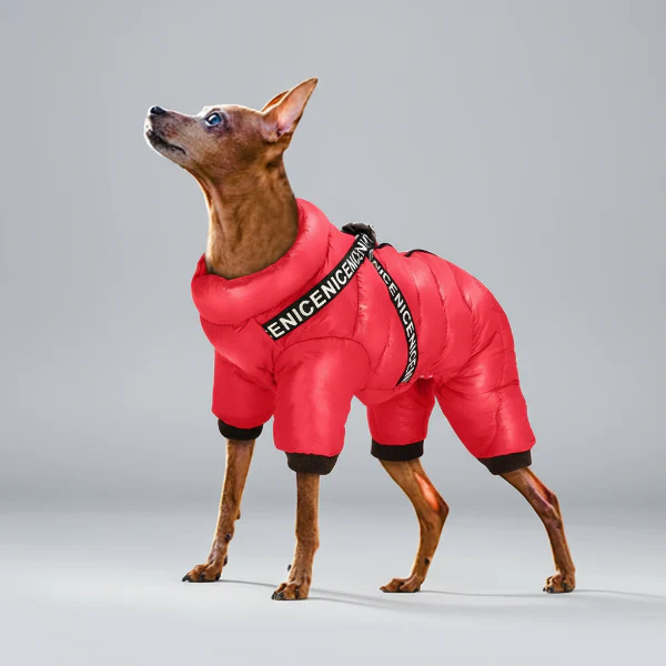 Doudoune Imperméable Avec Harnais Intégré Pour Chien – Image 2