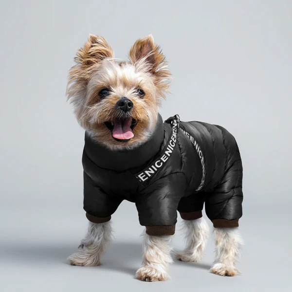 Doudoune Imperméable Avec Harnais Intégré Pour Chien