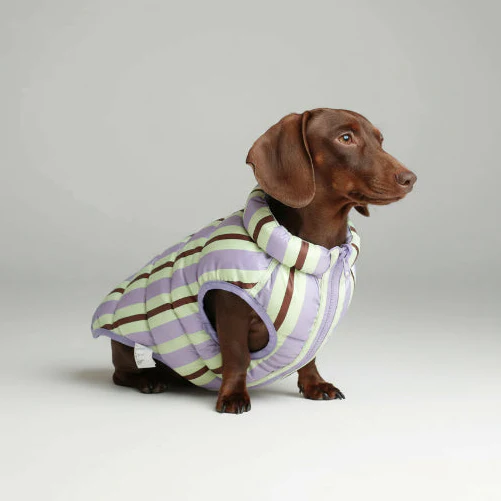 Doudoune Réversible Confortable Pour Teckel – Image 3