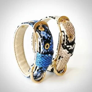 Ensemble collier laisse chic serpent