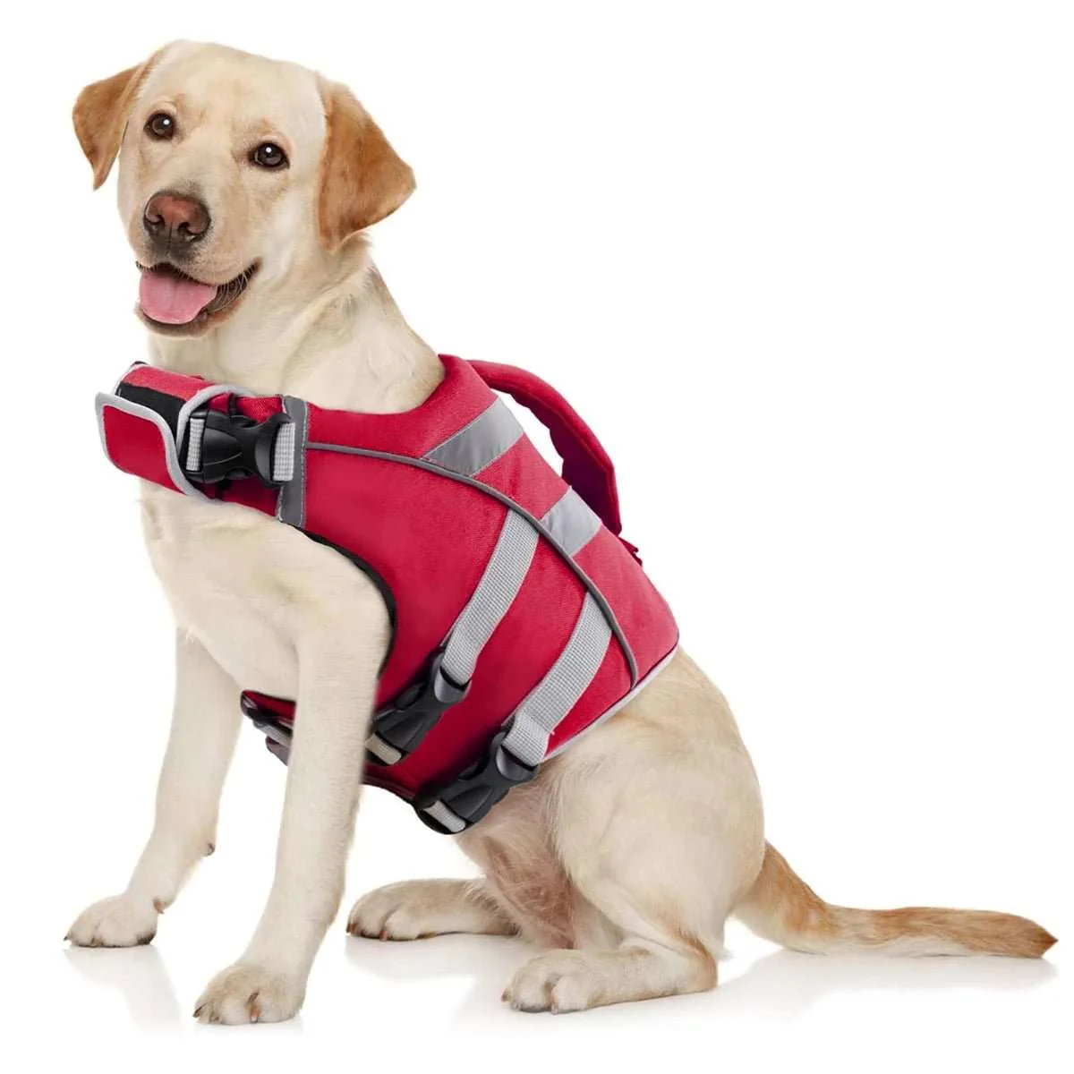 Gilet De Sauvetage Pour Chien Sécurisé Et Confortable