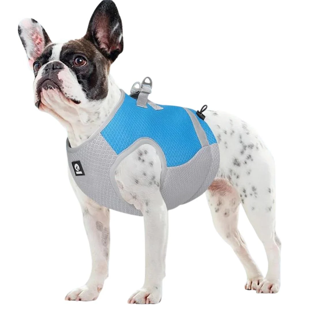 Gilet Rafraîchissant Confort Pour Chien – Image 3