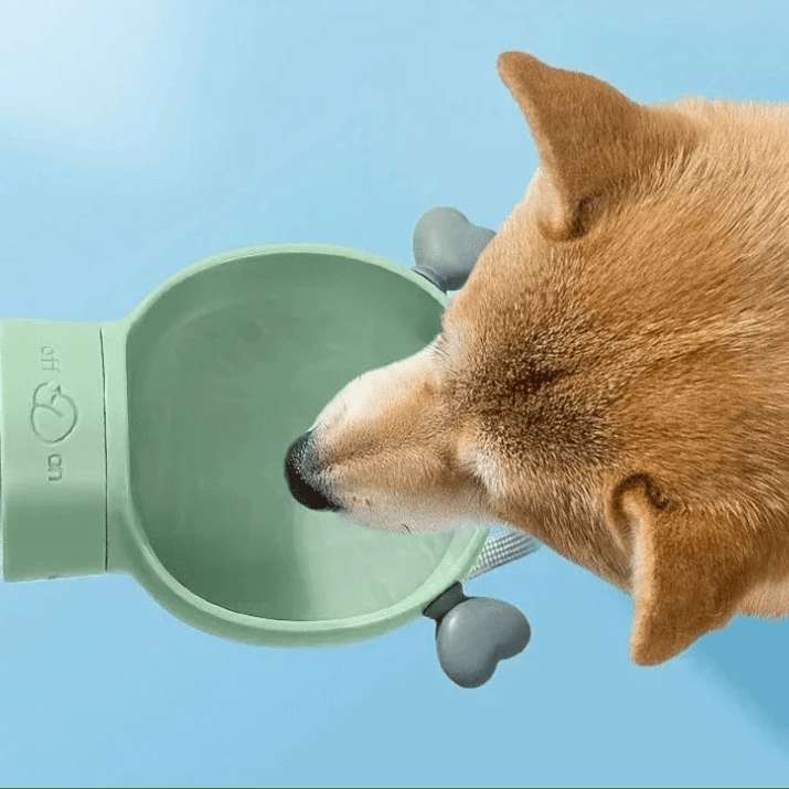 Gourde Avec Compartiment A Croquette Pour Chien Et Chat – Image 5