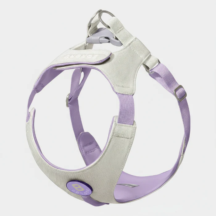 Harnais Et Laisse Petit Chien Confortable Et Résistant