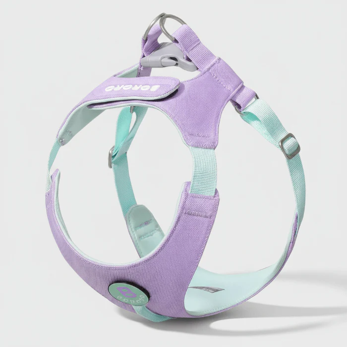 Harnais Et Laisse Petit Chien Confortable Et Résistant – Image 4