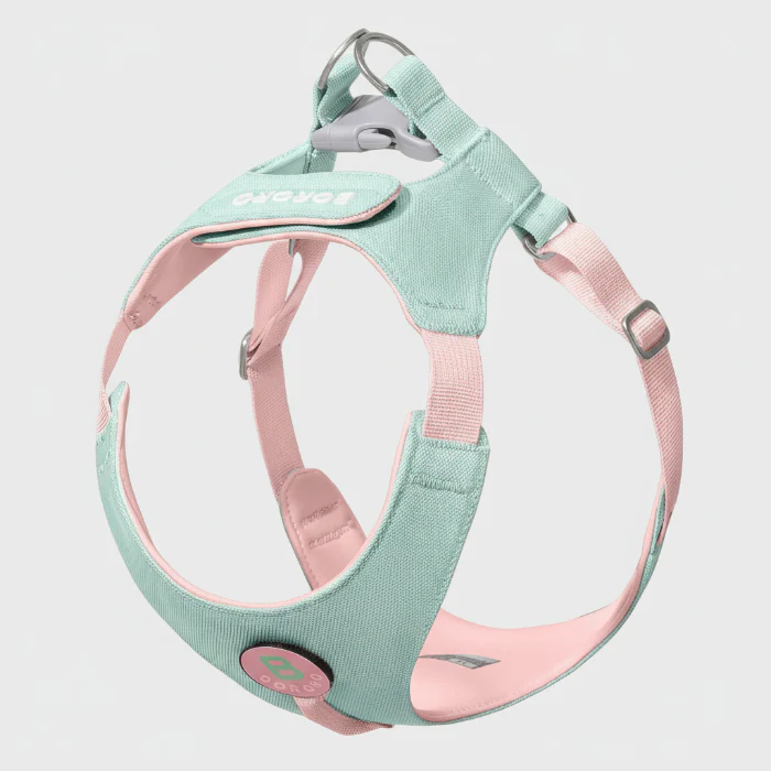 Harnais Et Laisse Petit Chien Confortable Et Résistant – Image 3