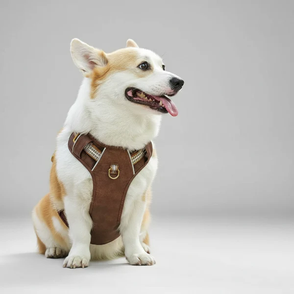 Harnais Réglable Pour Chien Moyen Et Grand – Image 2