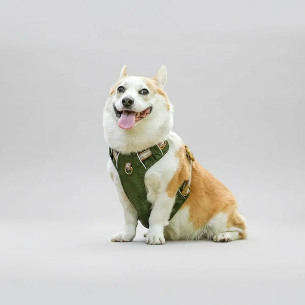 Harnais Réglable Pour Chien Moyen Et Grand – Image 3