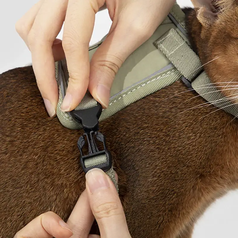 Harnais Réfléchissant Pour Chat Avec Laisse Coordonnée – Image 6