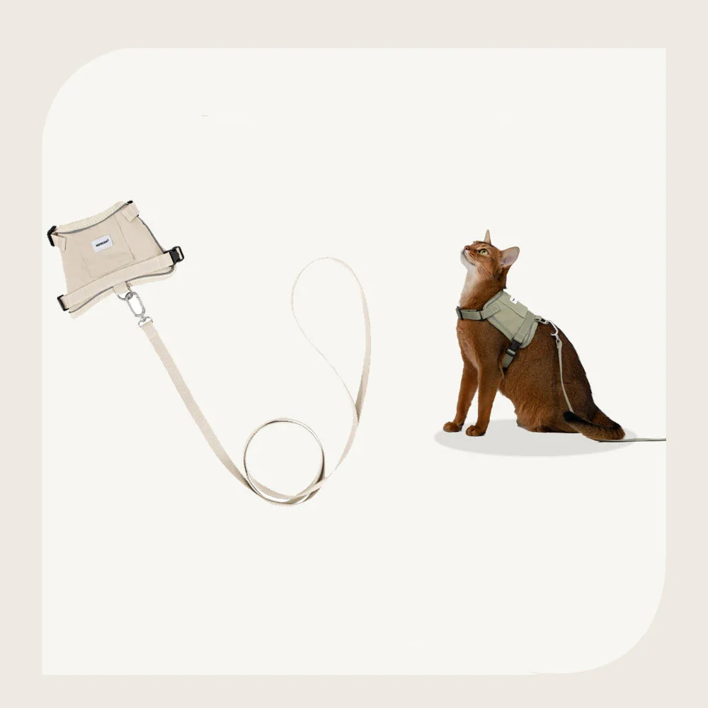Harnais Réfléchissant Pour Chat Avec Laisse Coordonnée – Image 7