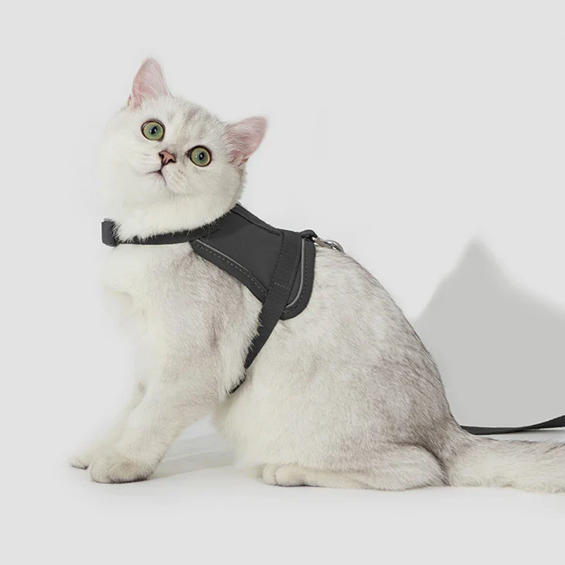 Harnais Réfléchissant Pour Chat Avec Laisse Coordonnée – Image 3