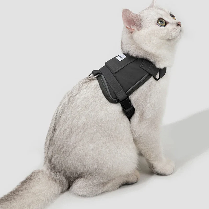 Harnais Réfléchissant Pour Chat Avec Laisse Coordonnée – Image 5