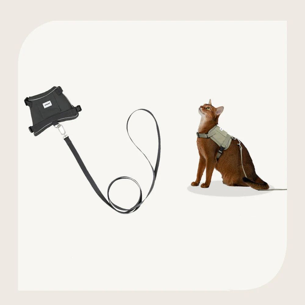 Harnais Réfléchissant Pour Chat Avec Laisse Coordonnée – Image 9