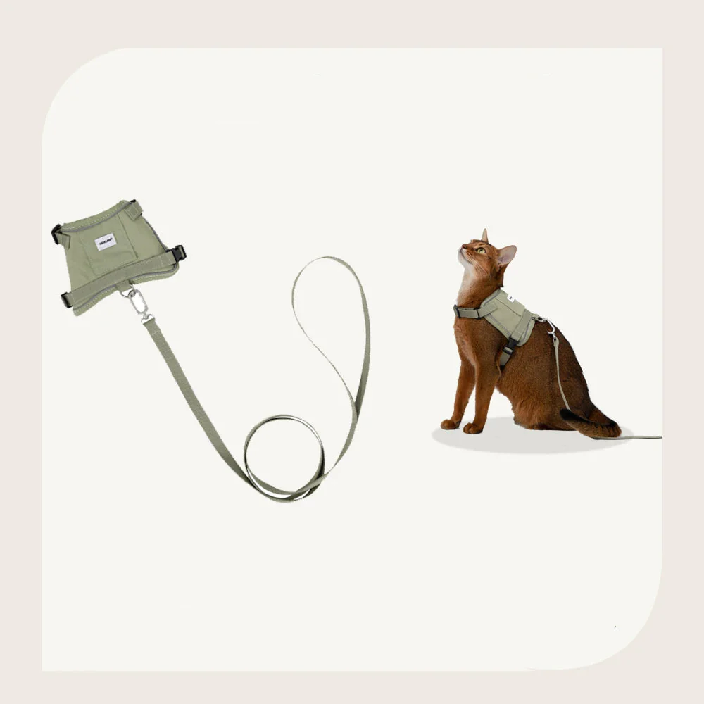 Harnais Réfléchissant Pour Chat Avec Laisse Coordonnée – Image 8