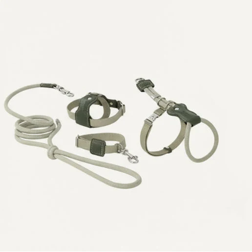 Harnais Et Laisse Pour Chat Réglable – Image 8