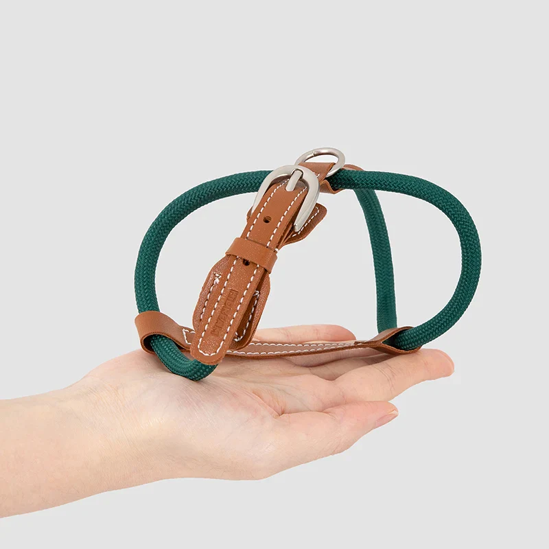 Harnais Réglable Pour Chat Avec Laisse Coordonnée – Image 6