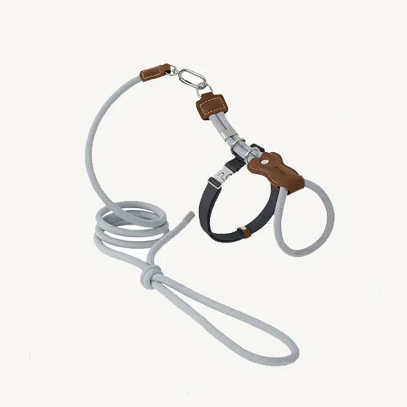 Harnais Et Laisse Pour Chat Réglable – Image 9