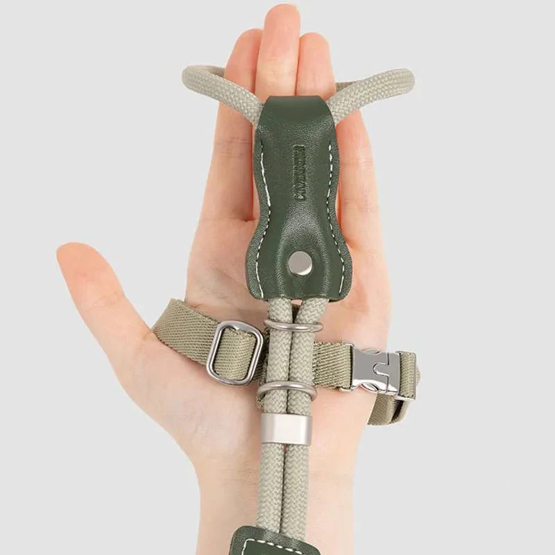 Harnais Et Laisse Pour Chat Réglable – Image 4