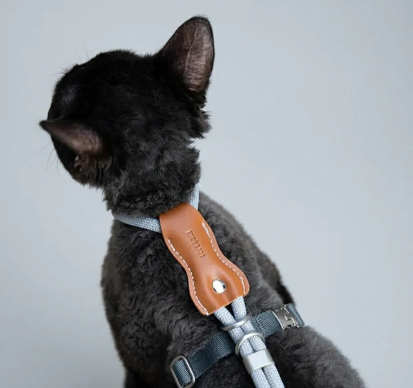 Harnais Et Laisse Pour Chat Réglable – Image 3