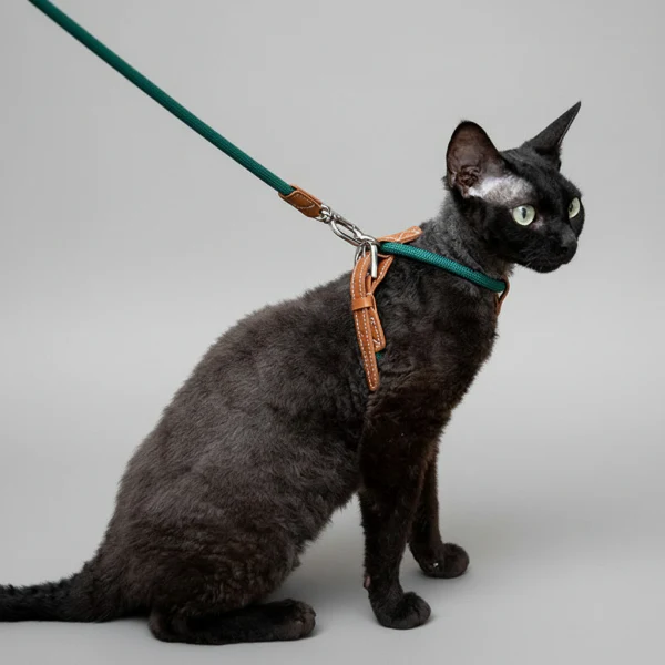 Harnais Réglable Pour Chat Avec Laisse Coordonnée – Image 4