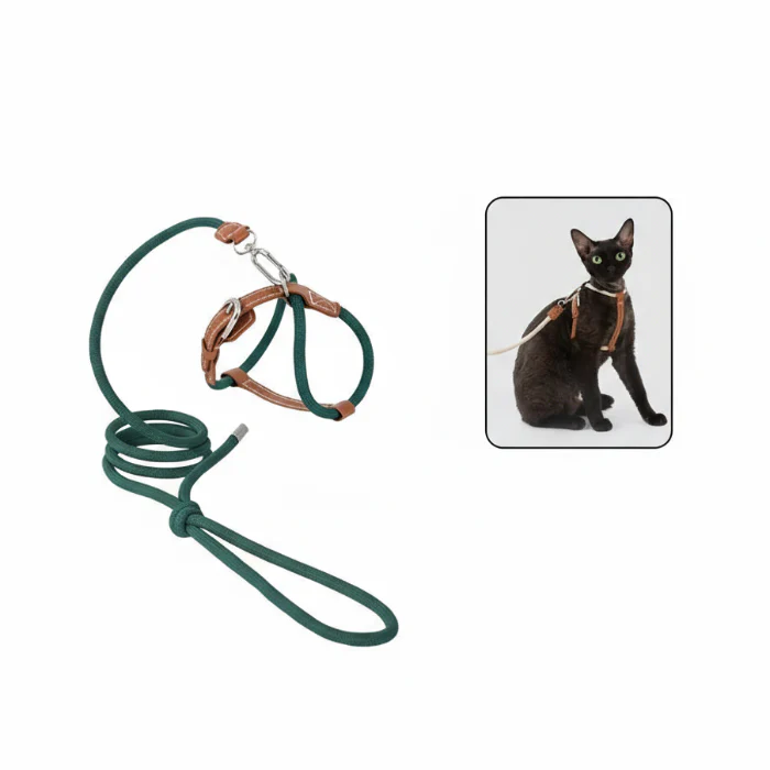 Harnais Réglable Pour Chat Avec Laisse Coordonnée – Image 7