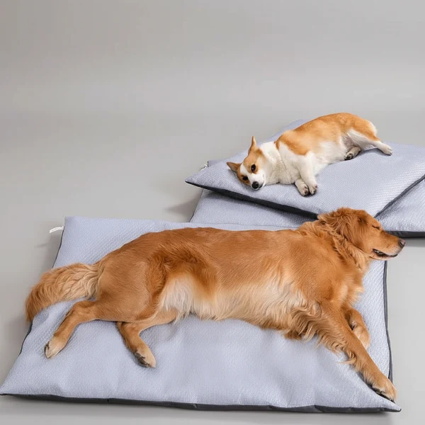 Coussin Rafraichissant Déhoussable Pour Chien – Image 2