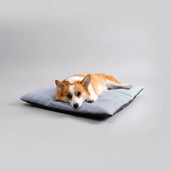 Coussin Rafraichissant Déhoussable Pour Chien – Image 4