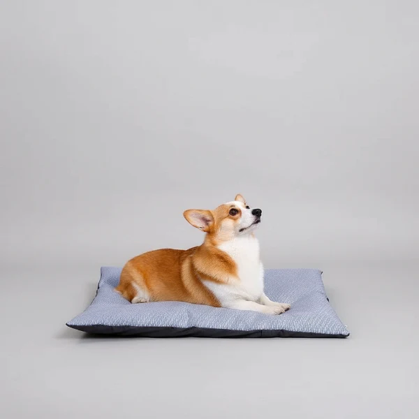 Coussin Rafraichissant Déhoussable Pour Chien – Image 5