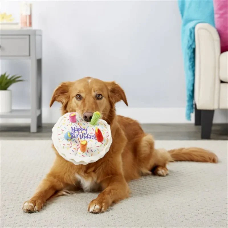 Jouet En Peluche Anniversaire Pour Chien – Image 5