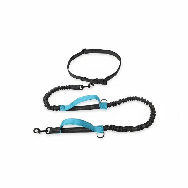 Laisse Elastique Pour Chien Résistante Et Confortable