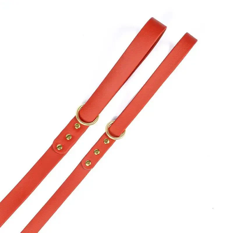 Laisse Imperméable De 1.5 M Pour Chien – Image 9