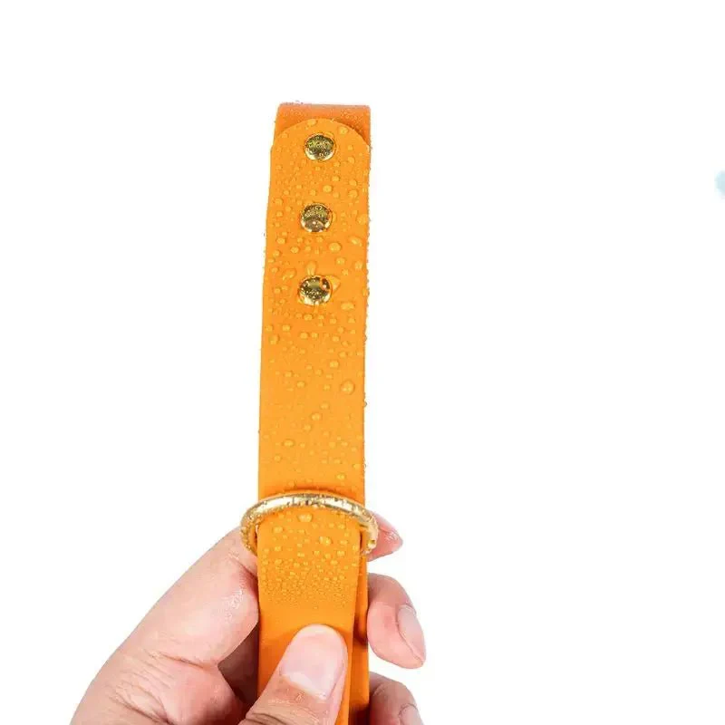 Laisse Imperméable De 1.5 M Pour Chien – Image 7