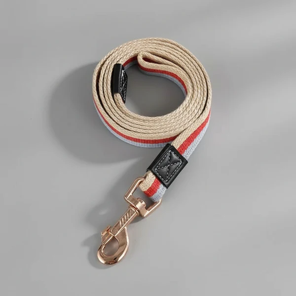 Laisse Pour Chien Tissu Résistante Et Design