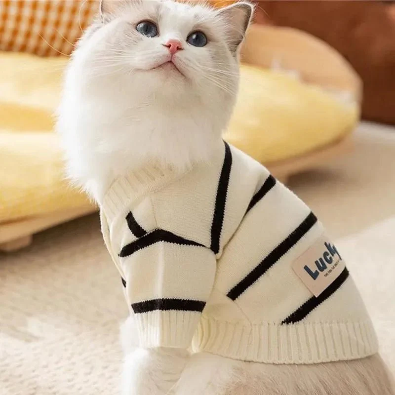 Pull Rayé Pour Chien Confortable Et Stylé – Image 7