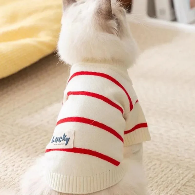 Pull Rayé Pour Chien Confortable Et Stylé – Image 9