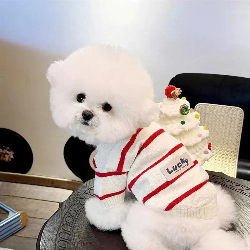 Pull Rayé Pour Chien Confortable Et Stylé – Image 5