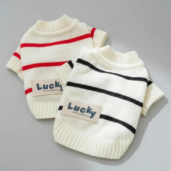 Pull Rayé Pour Chien Confortable Et Stylé