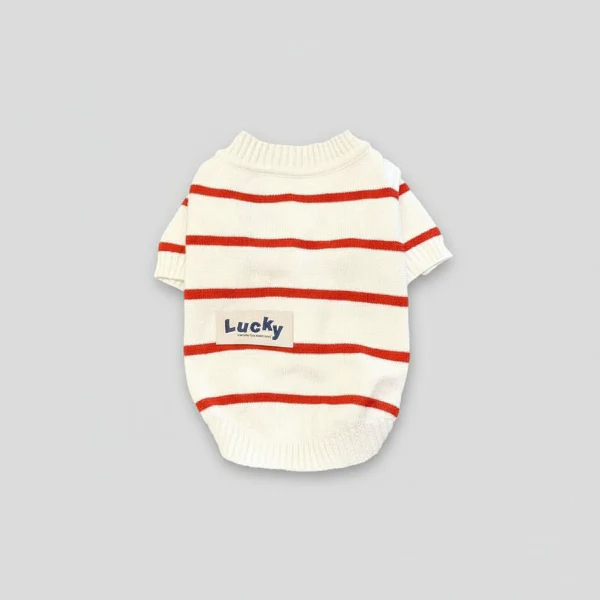 Pull Rayé Pour Chien Confortable Et Stylé – Image 3