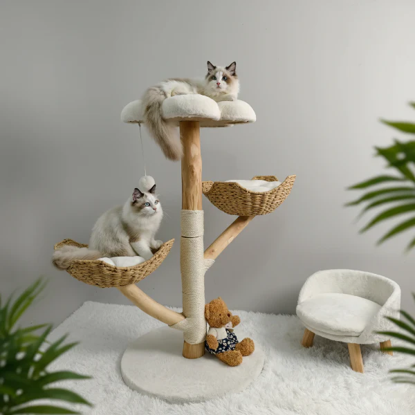Arbre À Chat En Bois Massif Et Sisal