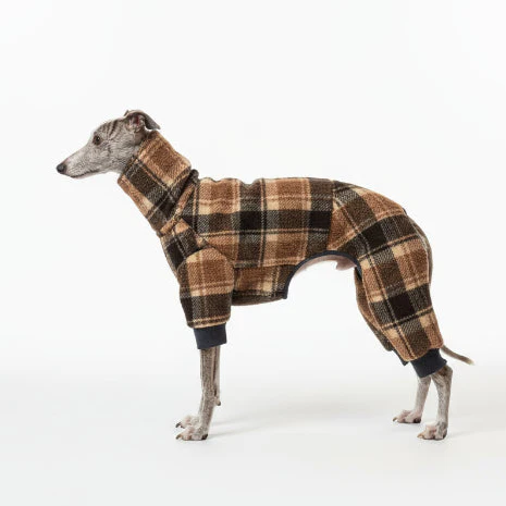 Manteau Chaud Pour Whippet Et Lévrier – Image 3
