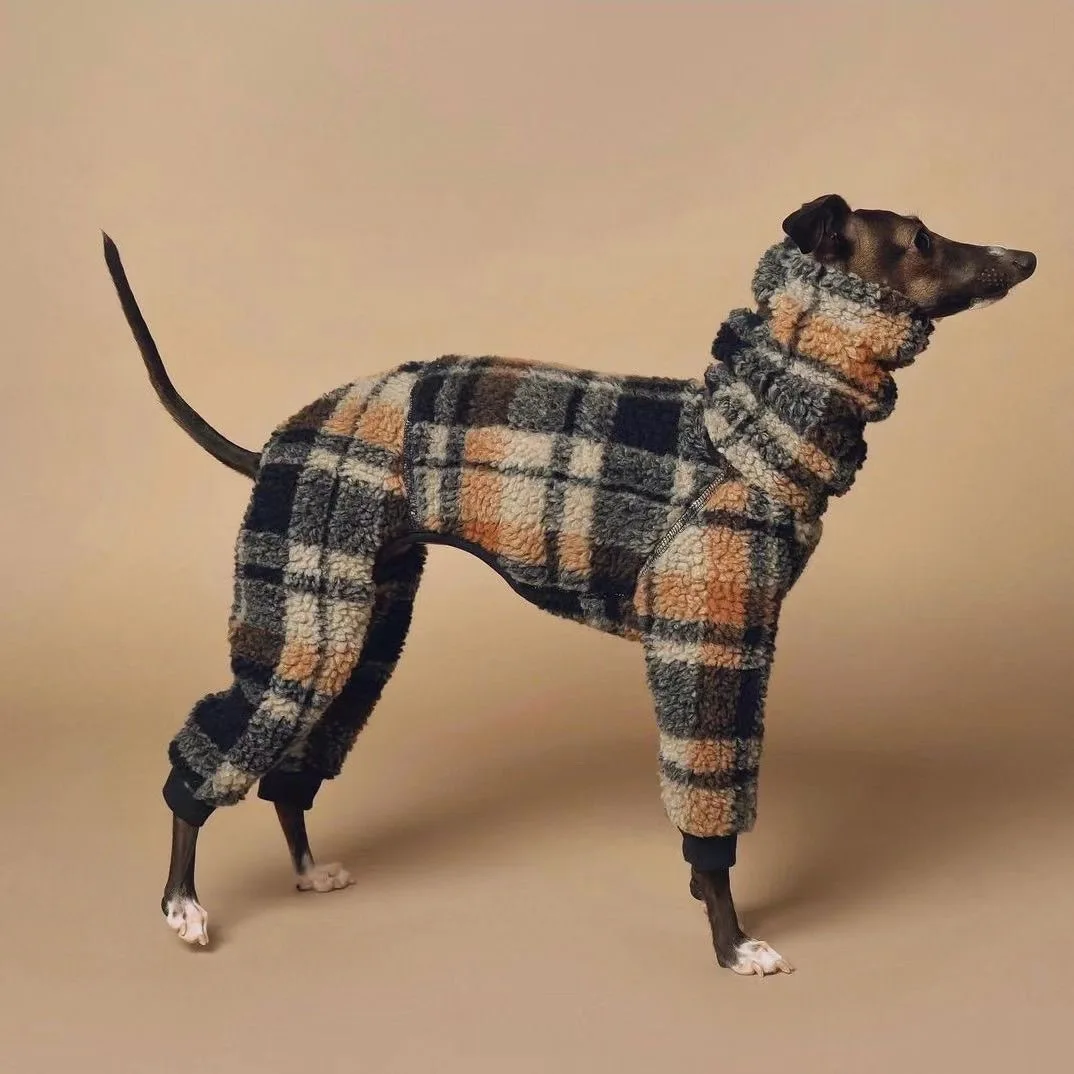 Manteau Chaud Pour Whippet Et Lévrier
