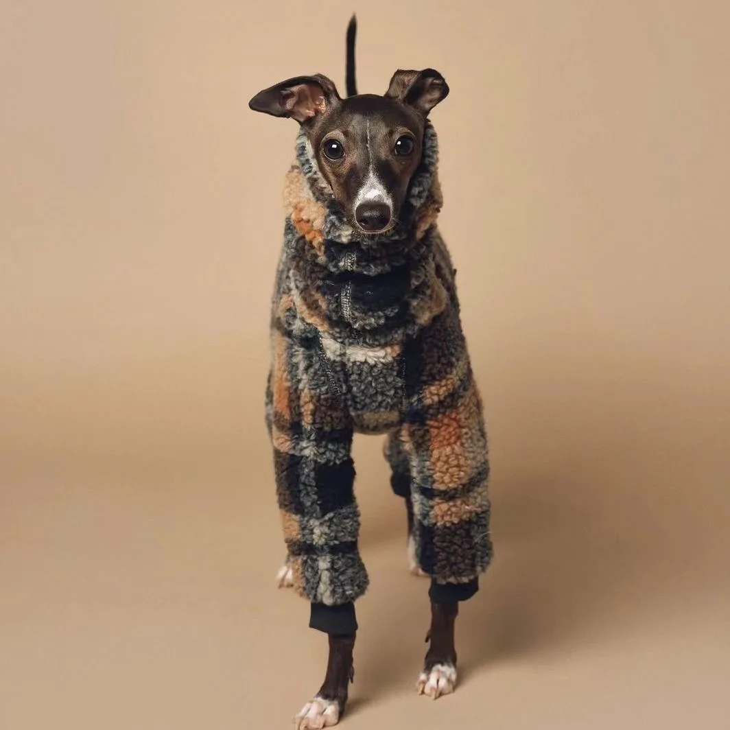 Manteau Chaud Pour Whippet Et Lévrier – Image 2
