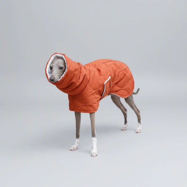 Manteau Hiver Pour Lévrier Chaud Et Confortable – Image 4