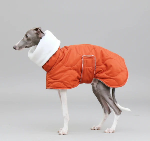 Manteau Hiver Pour Lévrier Chaud Et Confortable